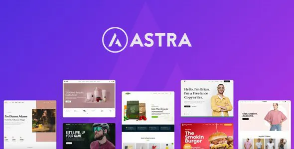Astra 4.13.6 – 主题+组合 1.13.6 – 最受欢迎的新闻杂志 主题