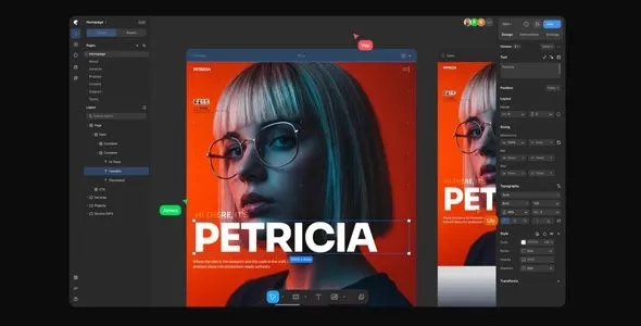 Kirki Pro 6.2.1 – WordPress主题定制器构建插件