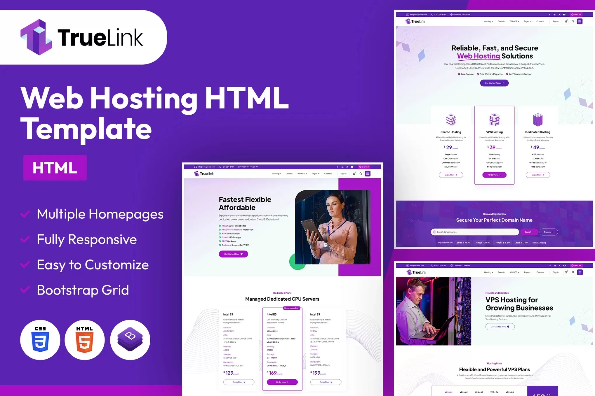 TrueLink – 网站托管HTML模板，域名空间服务商官网