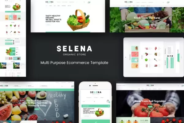 Selena – 有机响应式Magento主题,天然产品电商